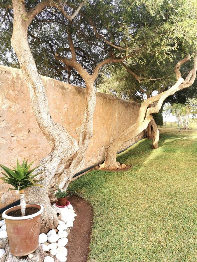 Maison Mimosa, Lovely 3 Bedroom Villa With A Large Pool Essaouira Exteriör bild