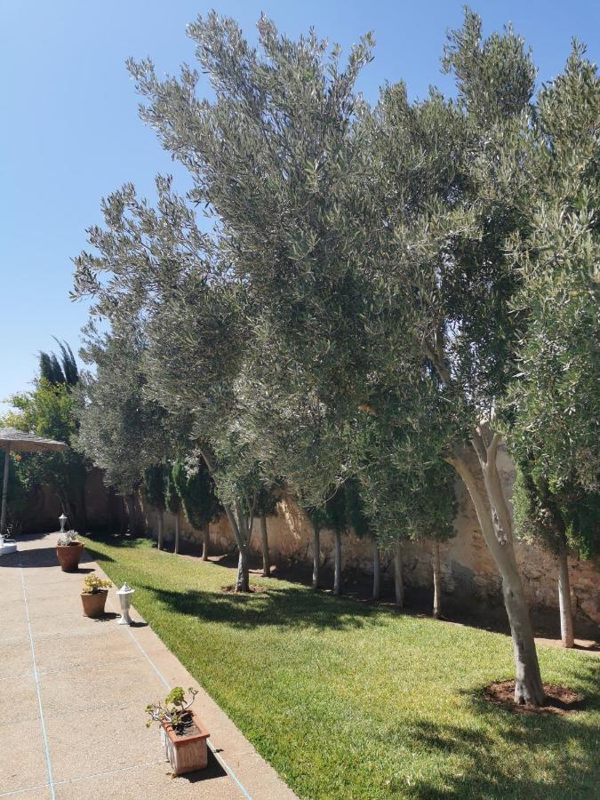 Maison Mimosa, Lovely 3 Bedroom Villa With A Large Pool Essaouira Exteriör bild