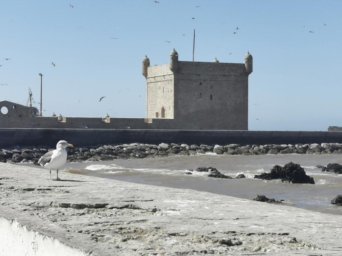 Maison Mimosa, Lovely 3 Bedroom Villa With A Large Pool Essaouira Exteriör bild