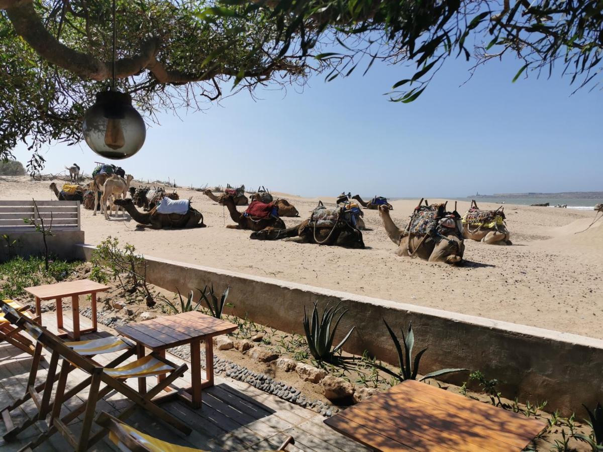 Maison Mimosa, Lovely 3 Bedroom Villa With A Large Pool Essaouira Exteriör bild